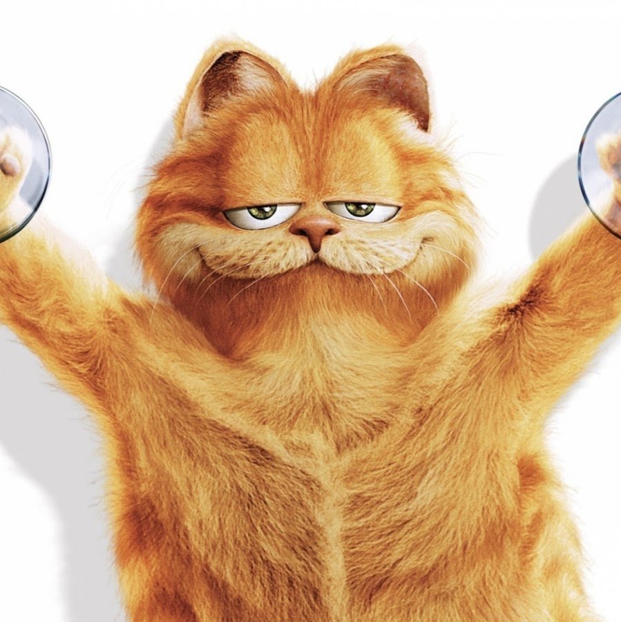 Йоркширский терьер байкер