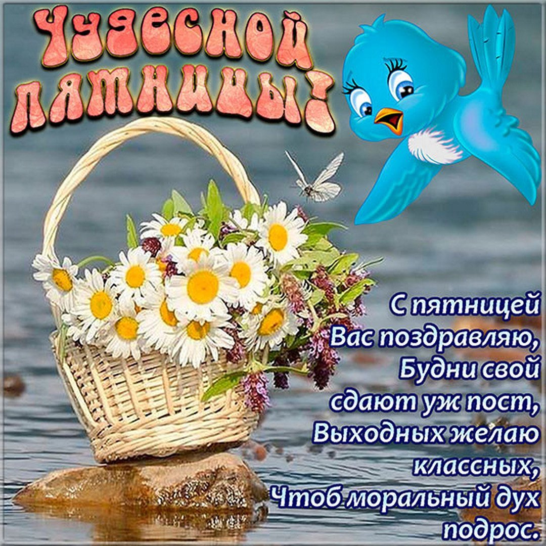 Поздравление с пятницей