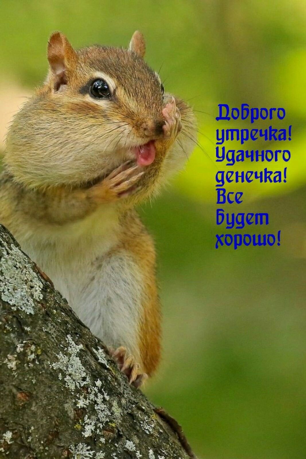 Позитивчик для поднятия настроения