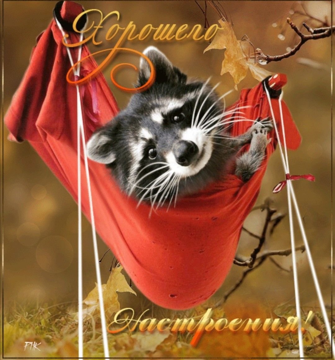 Добрейшего денечка хорошего настроения