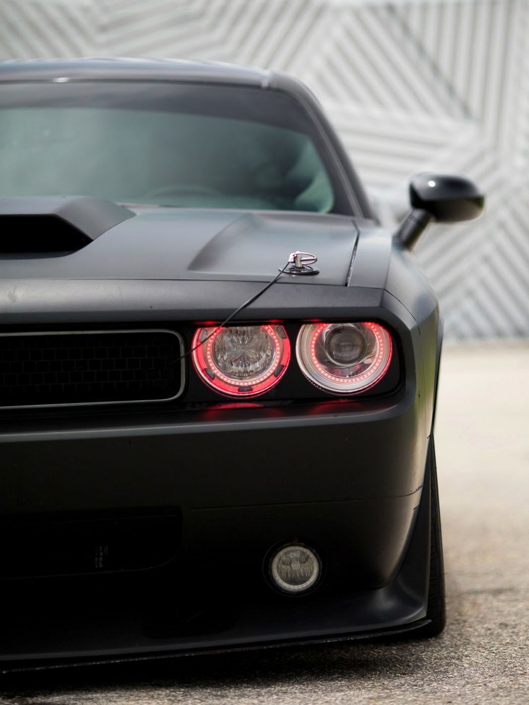 Мустанг Шелби неон