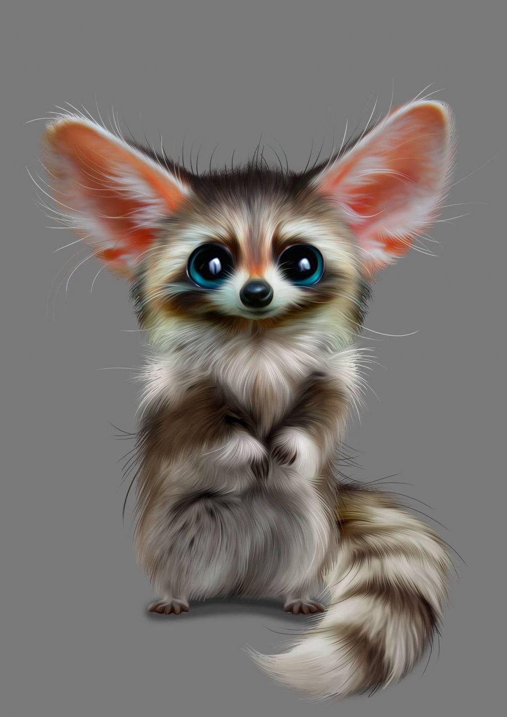 Енот и фенек