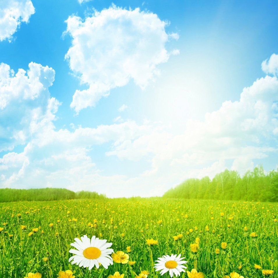 Солнечное небо