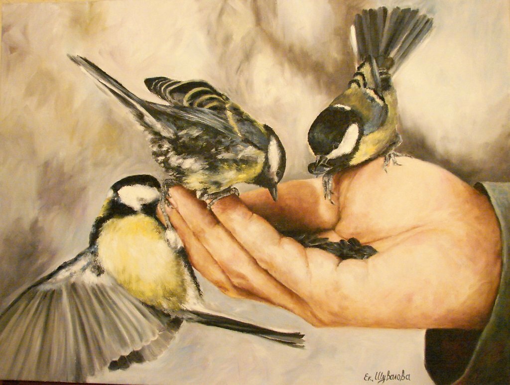 Лозунг Покормите птиц