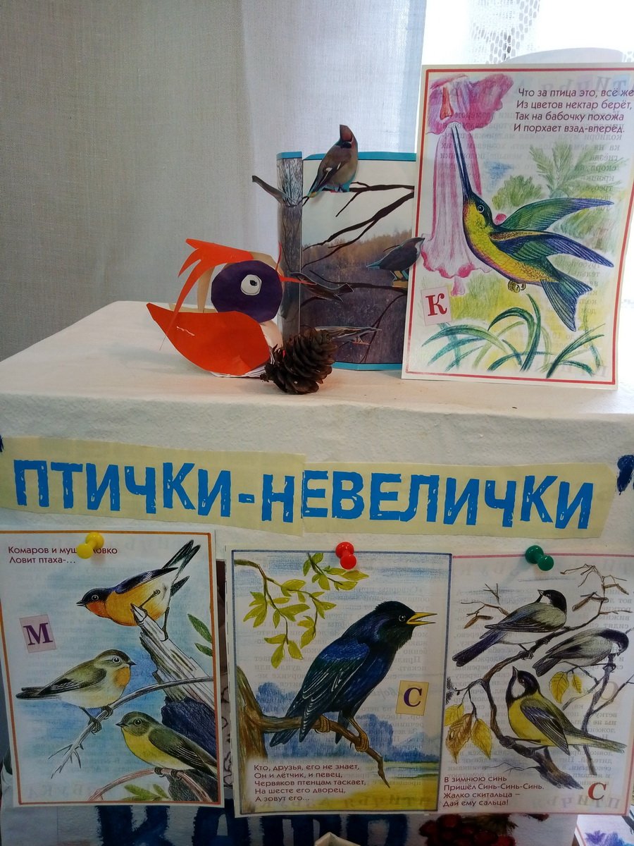 Международный день птиц