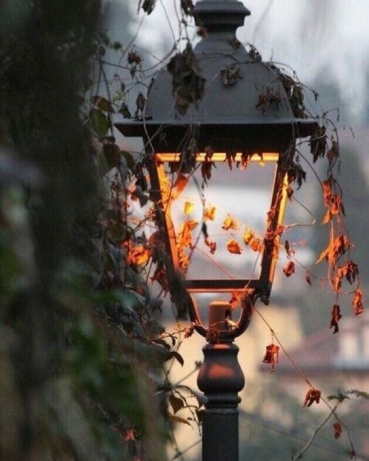 Осень фонарь