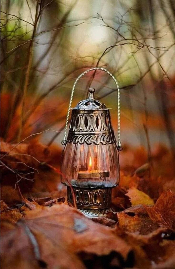 Осенний фонарик