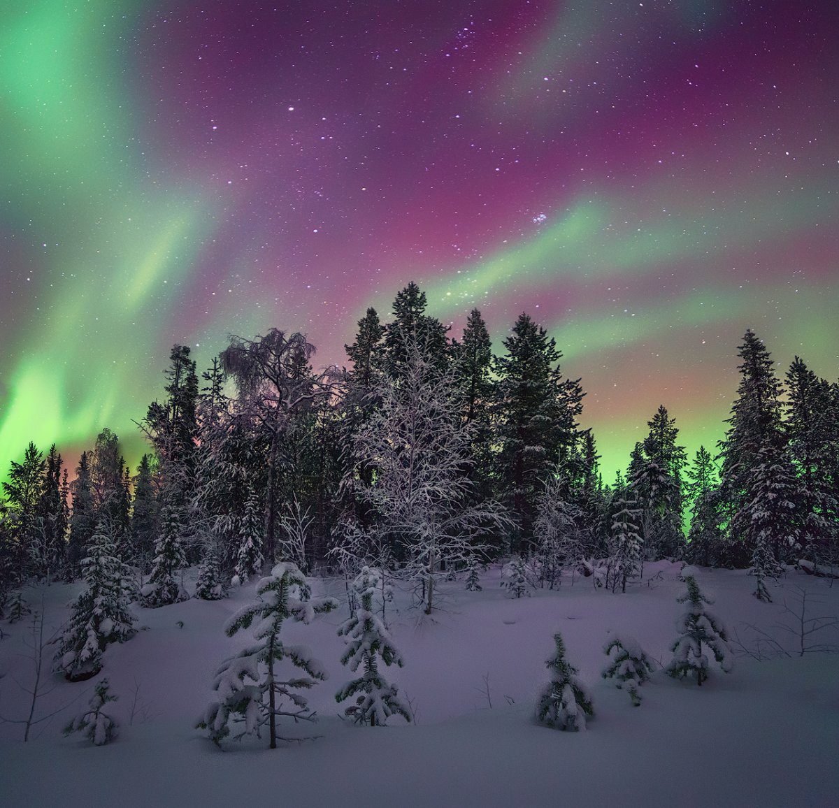 Республика Коми Северное сияние