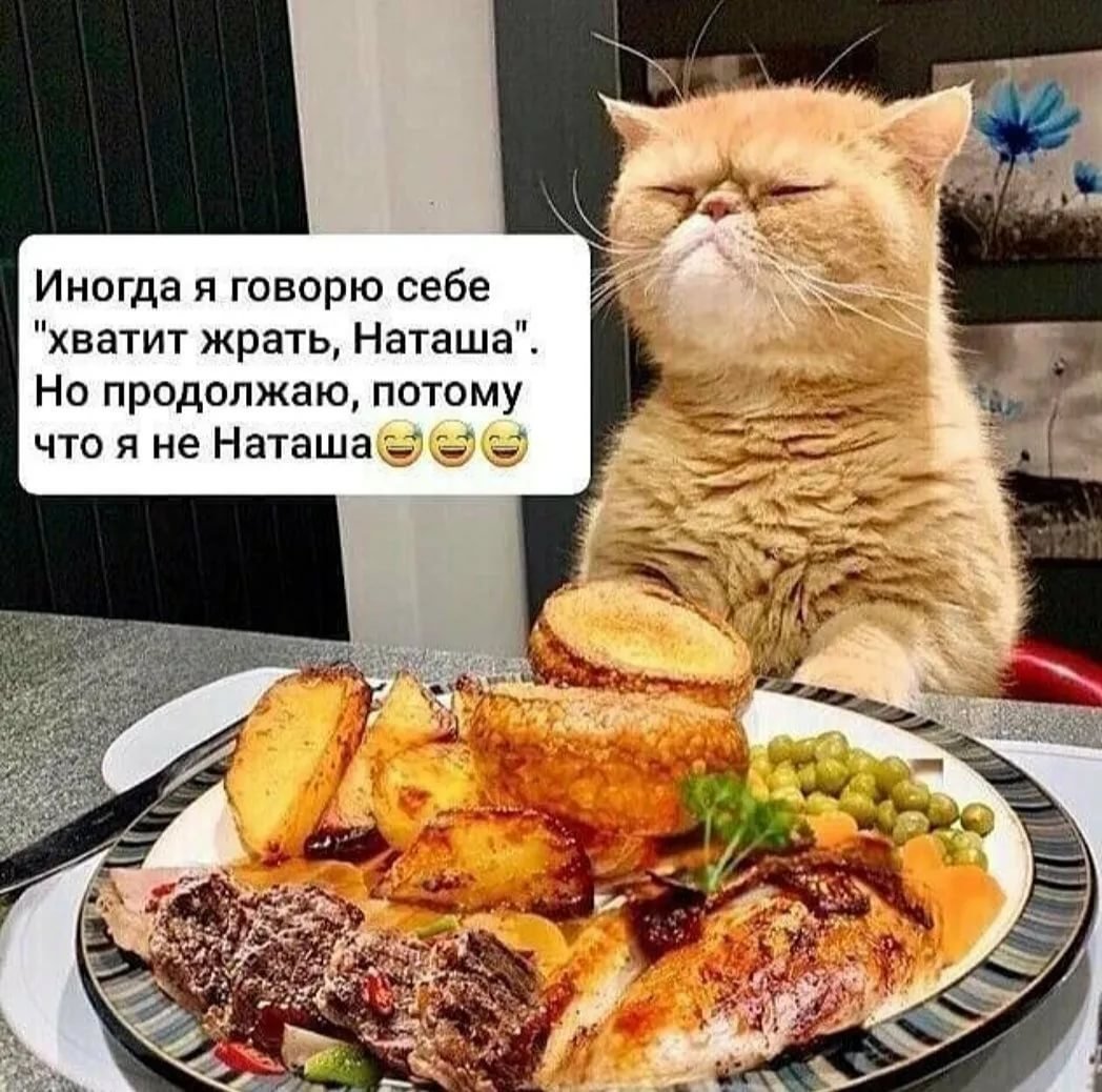 Жрать жрать жрать