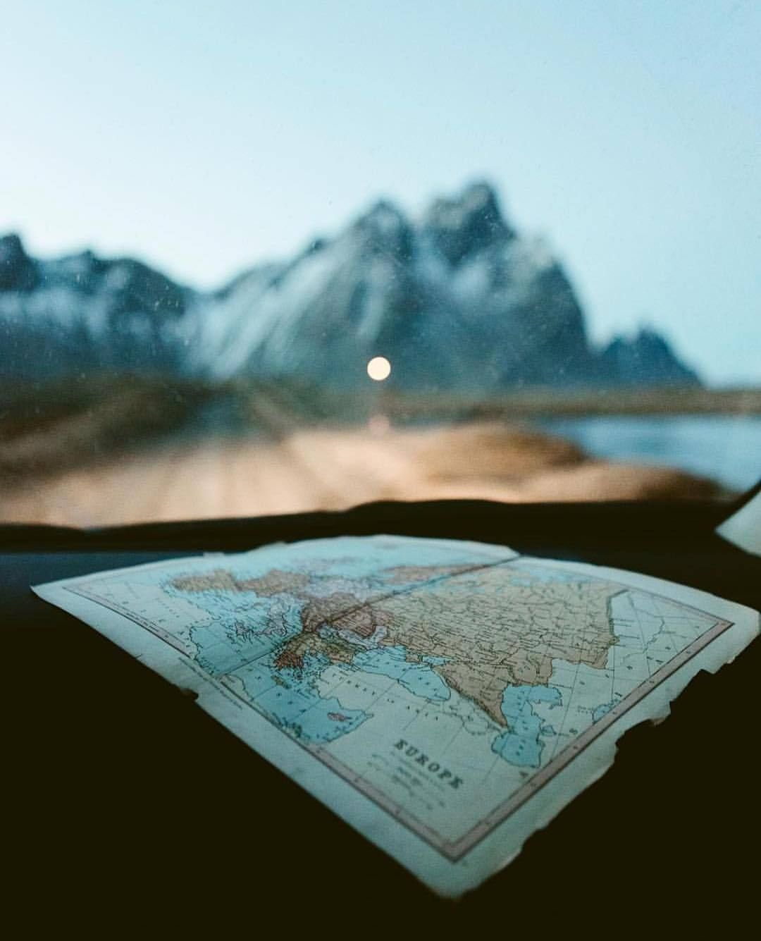 Сьюки кот путешественник