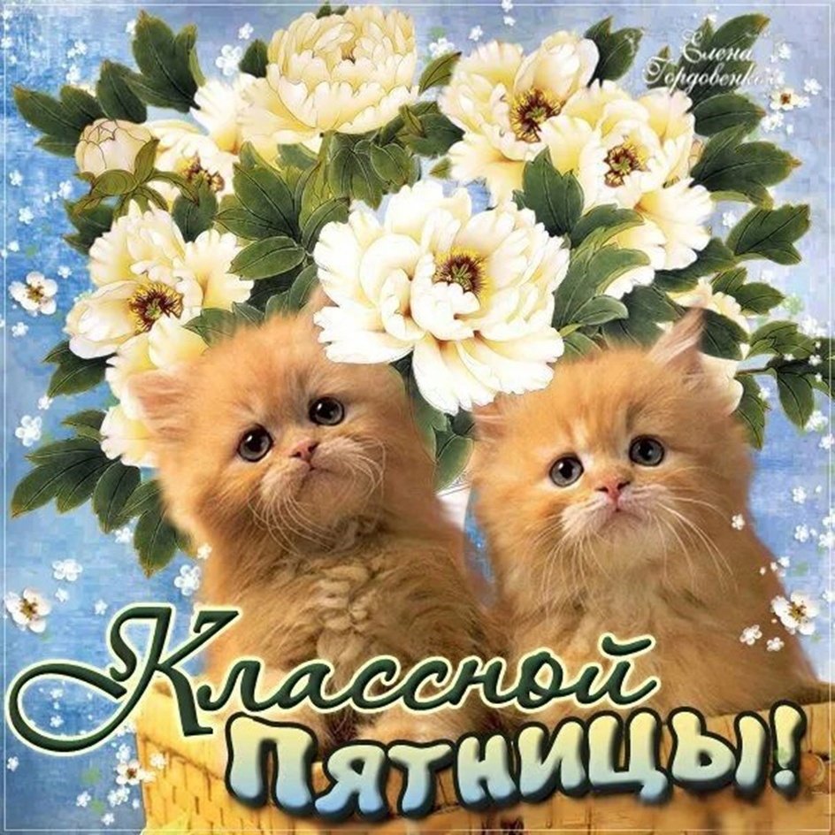 Хорошей пятницы и отличного настроения