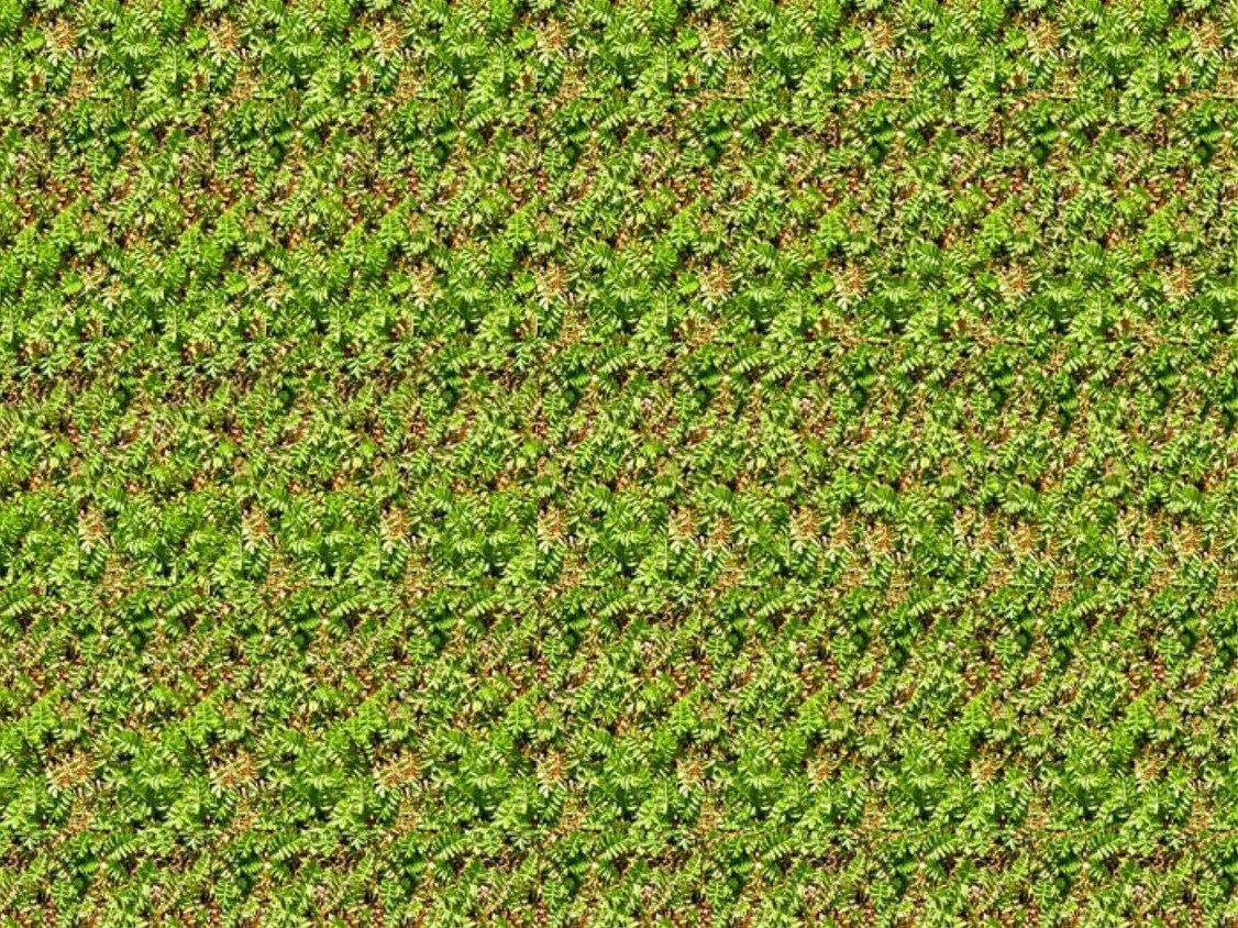 Стереограммы Хидден 3д