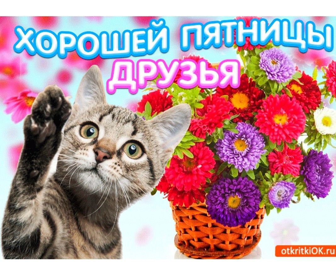 Открытки прекрасной пятницы