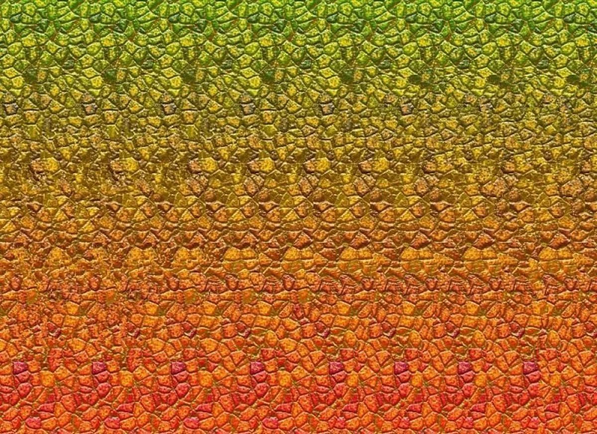 Стереограммы "Волшебный глаз"