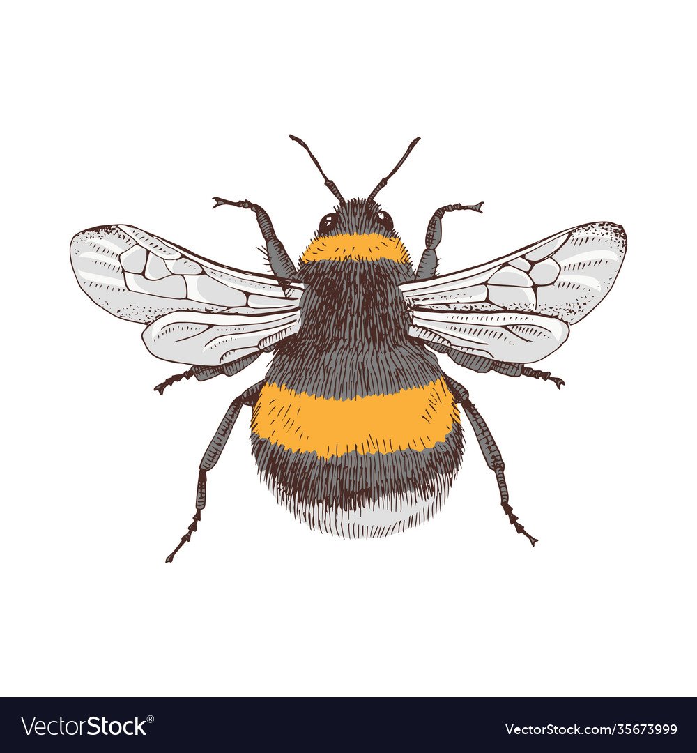 Шмель произведение