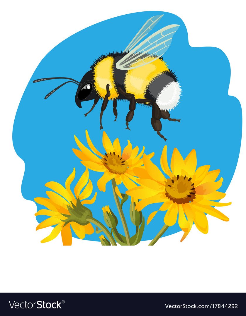 Пчела мультяшный