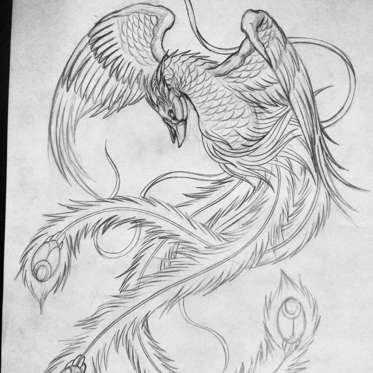 Феникс карандашом