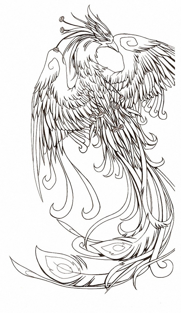 Феникс раскраска