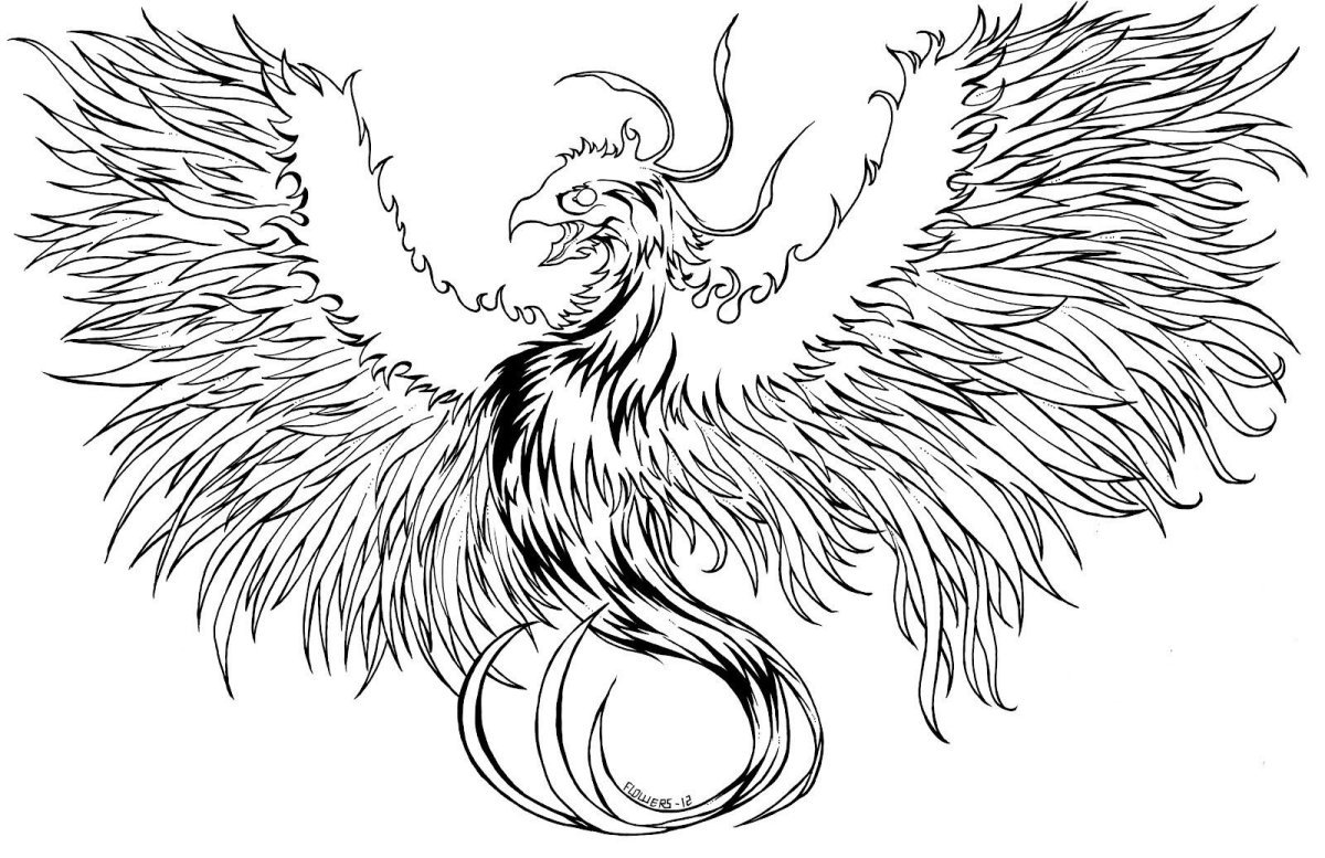 Птица Феникс контур