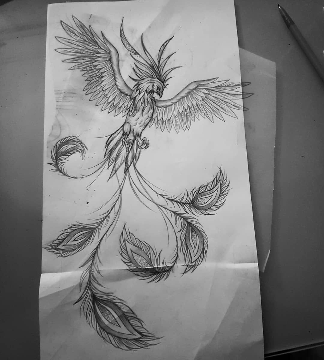 Феникс трайбл эскиз