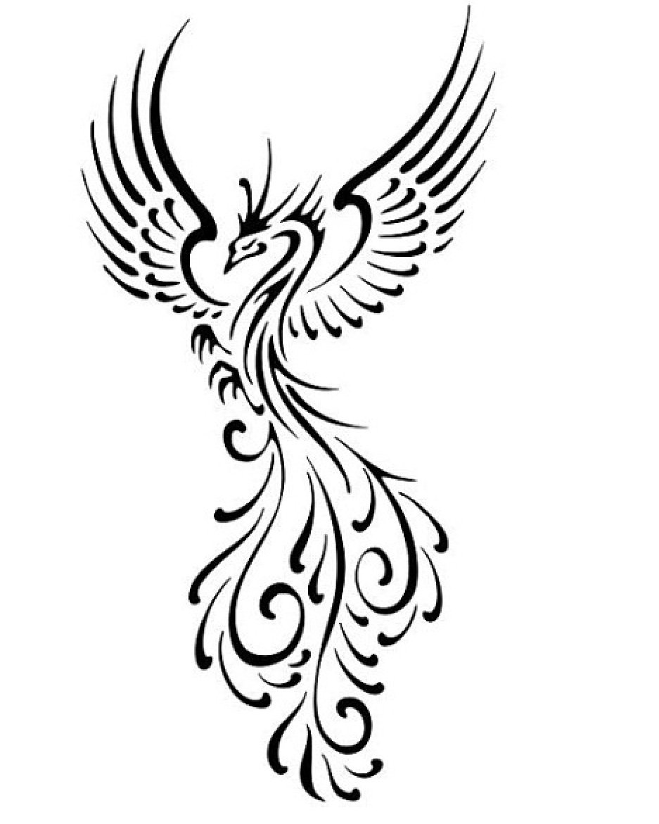Красивые черно белые рисунки красивых Феникс