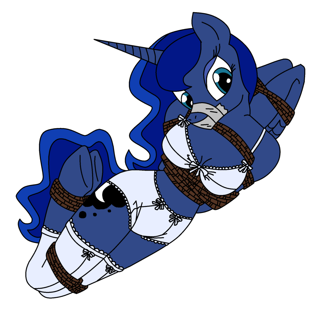 Пони милитаризм