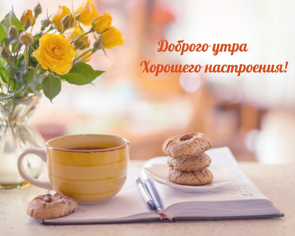 Солнечное утро цветы кофе