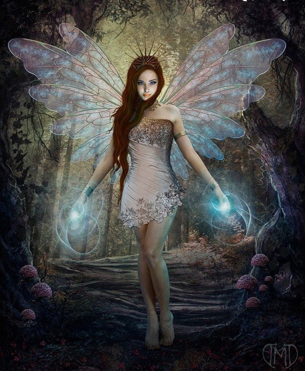 Фейри Сильфы