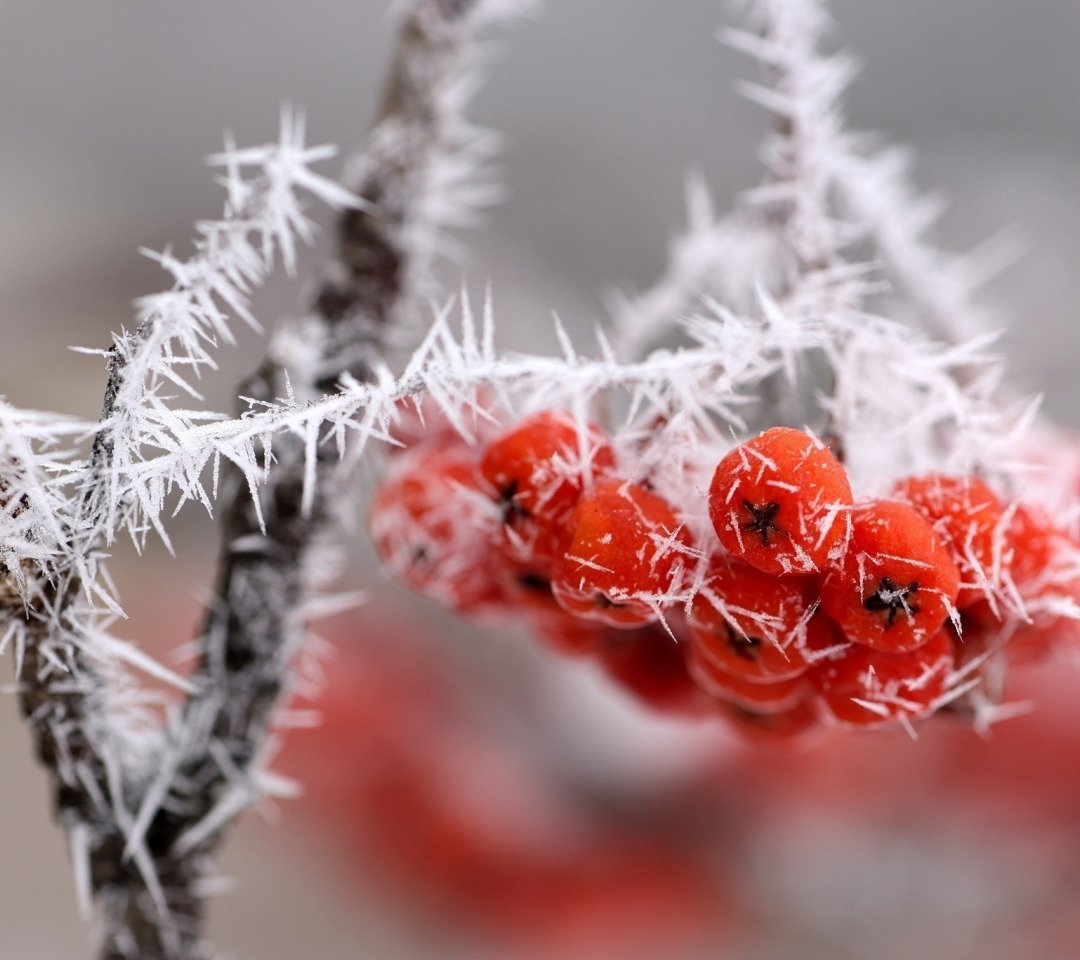 Фоны зимние бесшовные