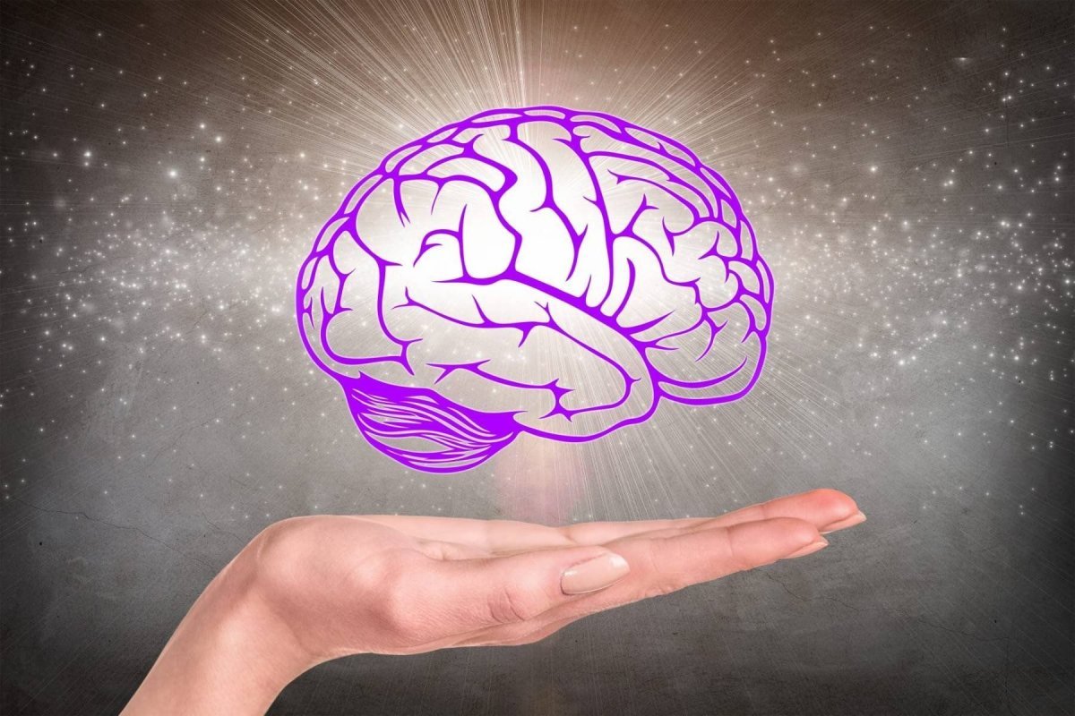 Красивый мозг