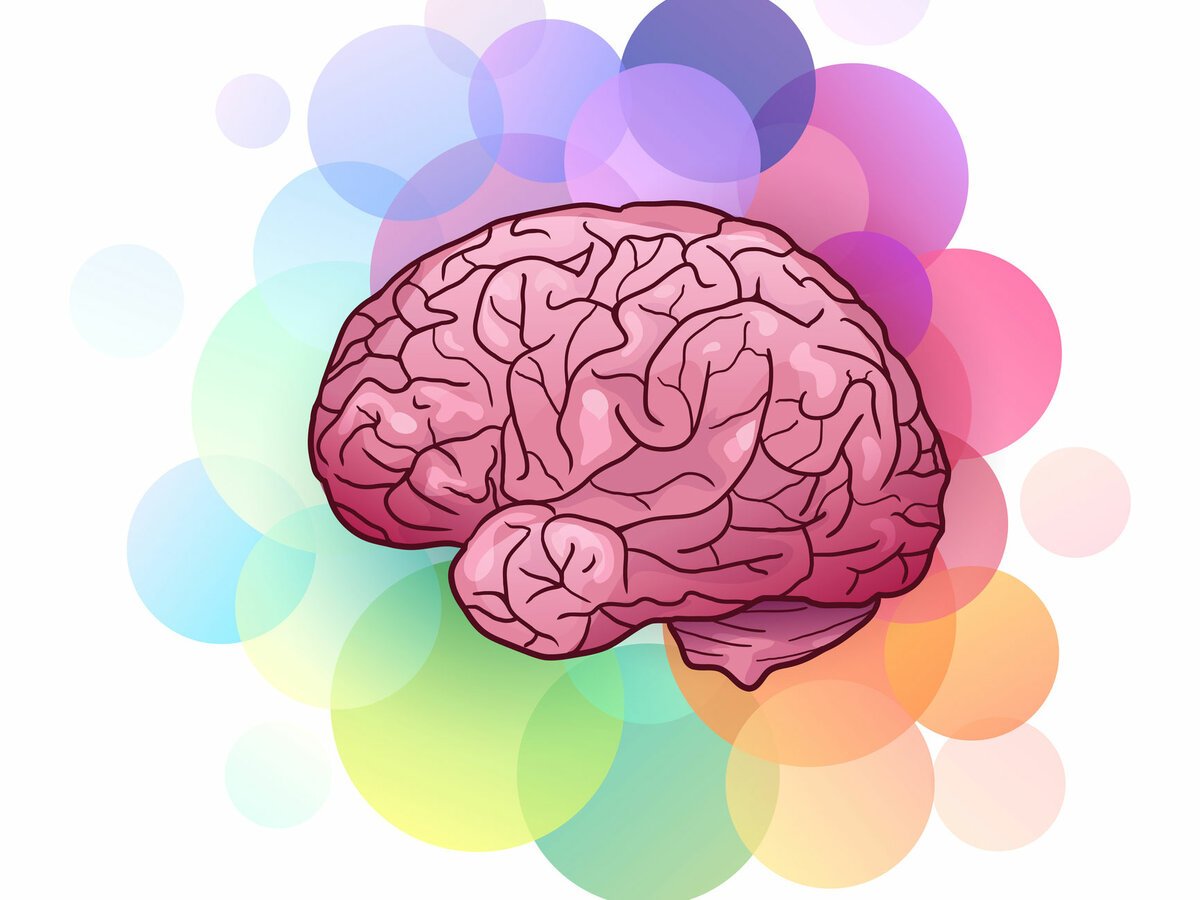 Творческий мозг вектор