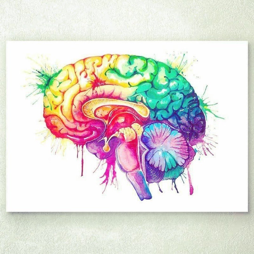 Мозг человека арт