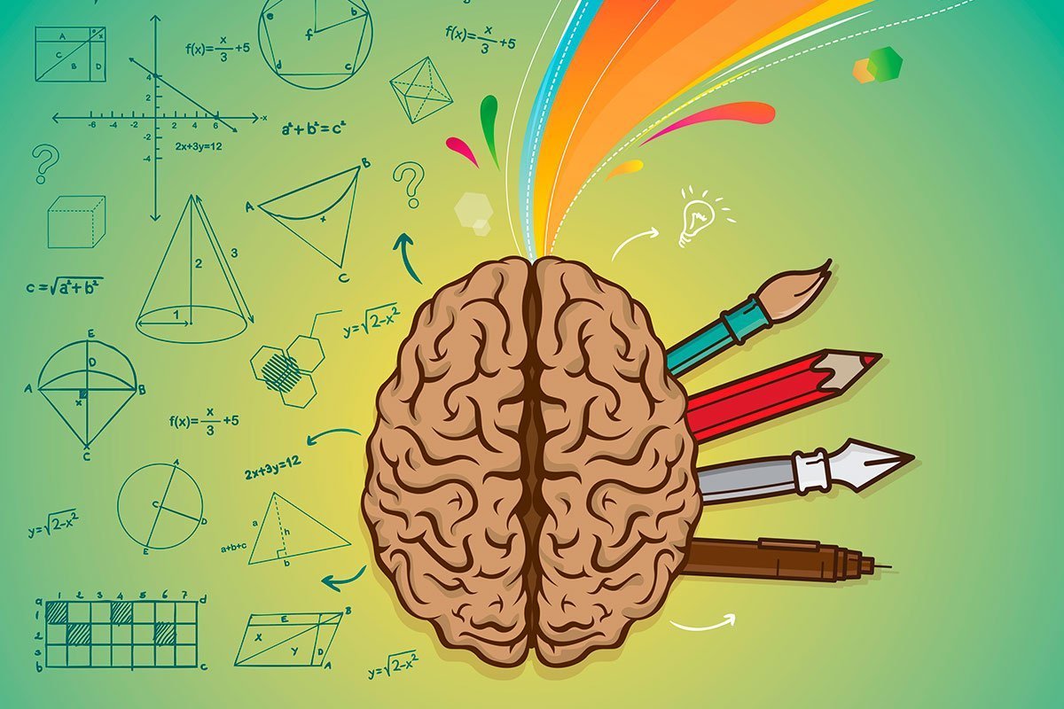 Мозг ребенка