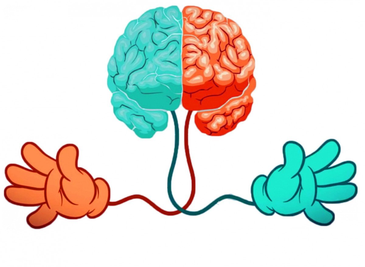 Мозг ребенка