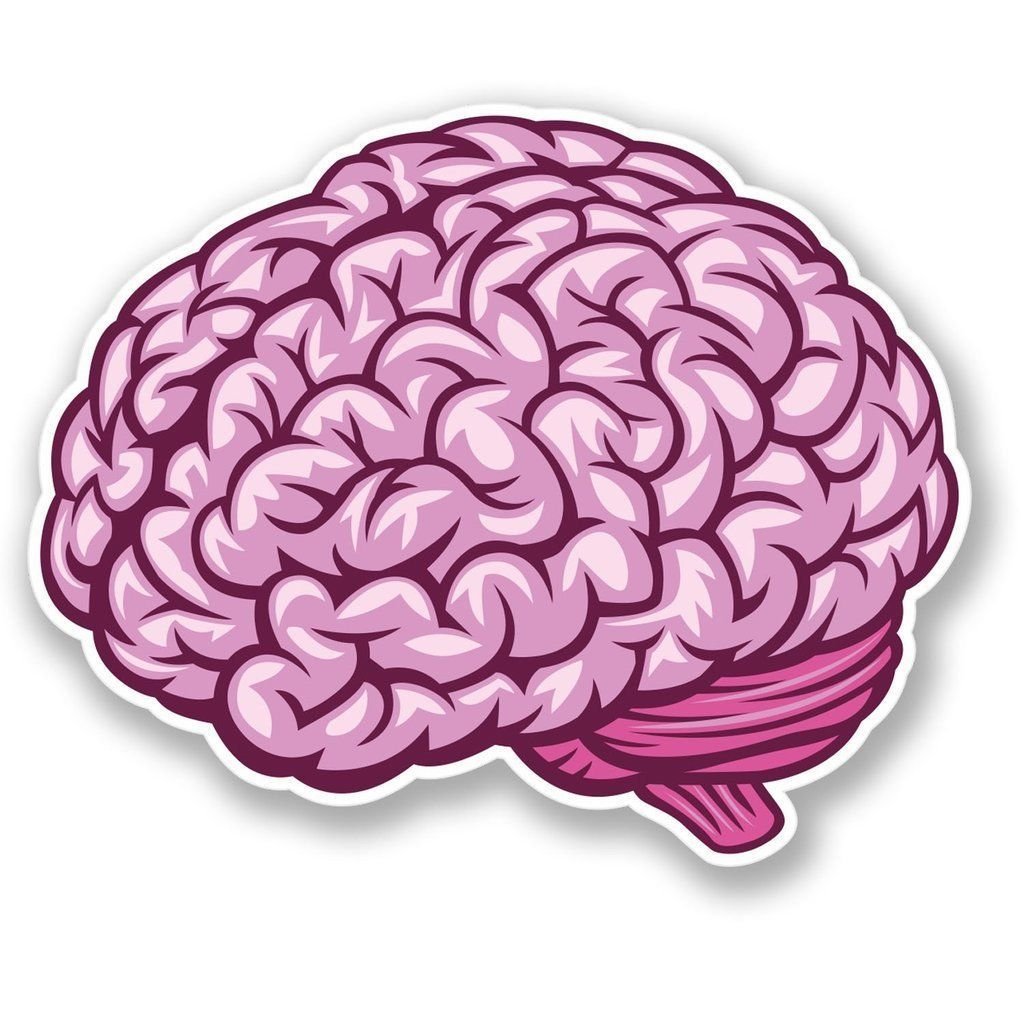 Мозг картинка для детей