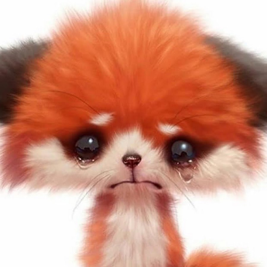 Лисичка плачет