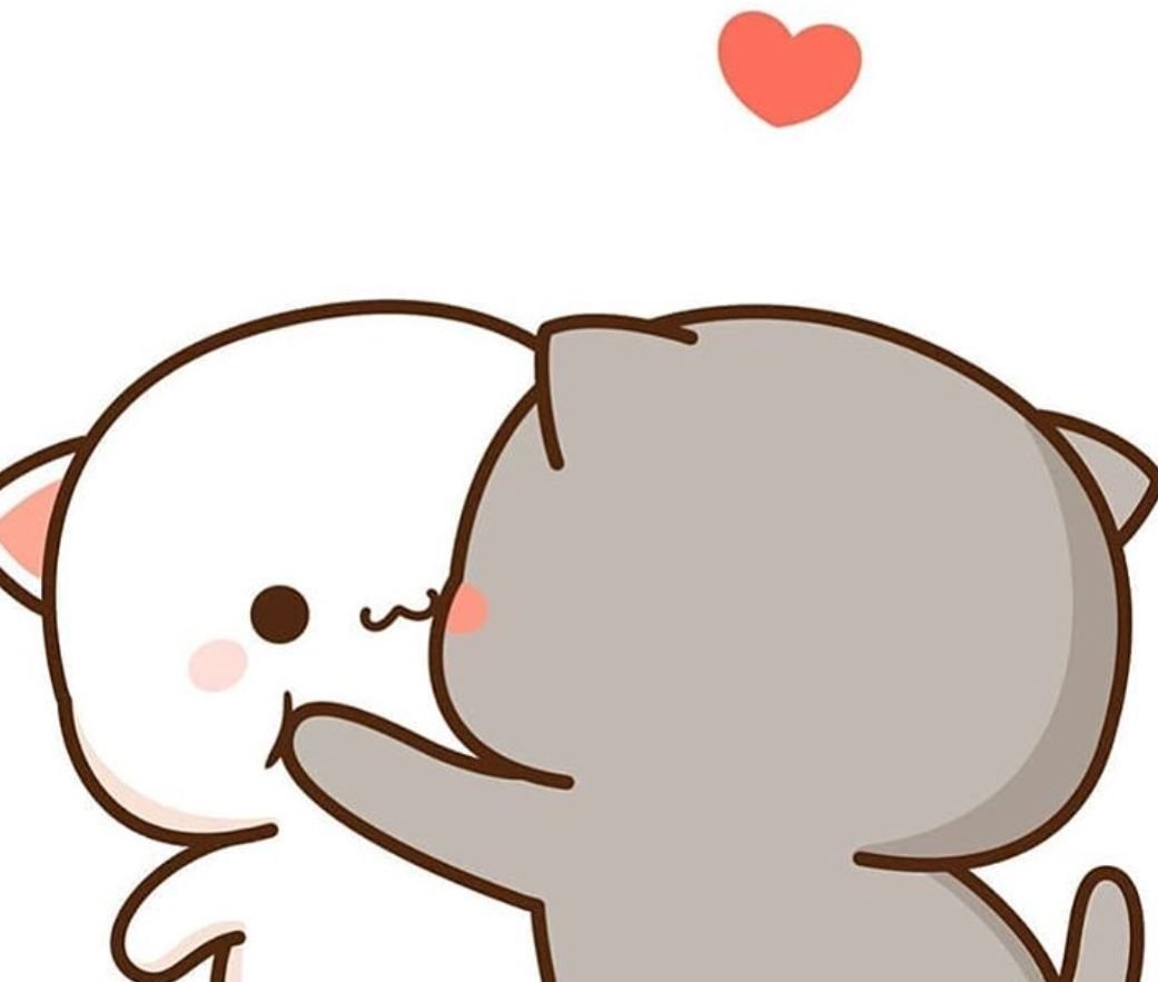 Белка ши и кот