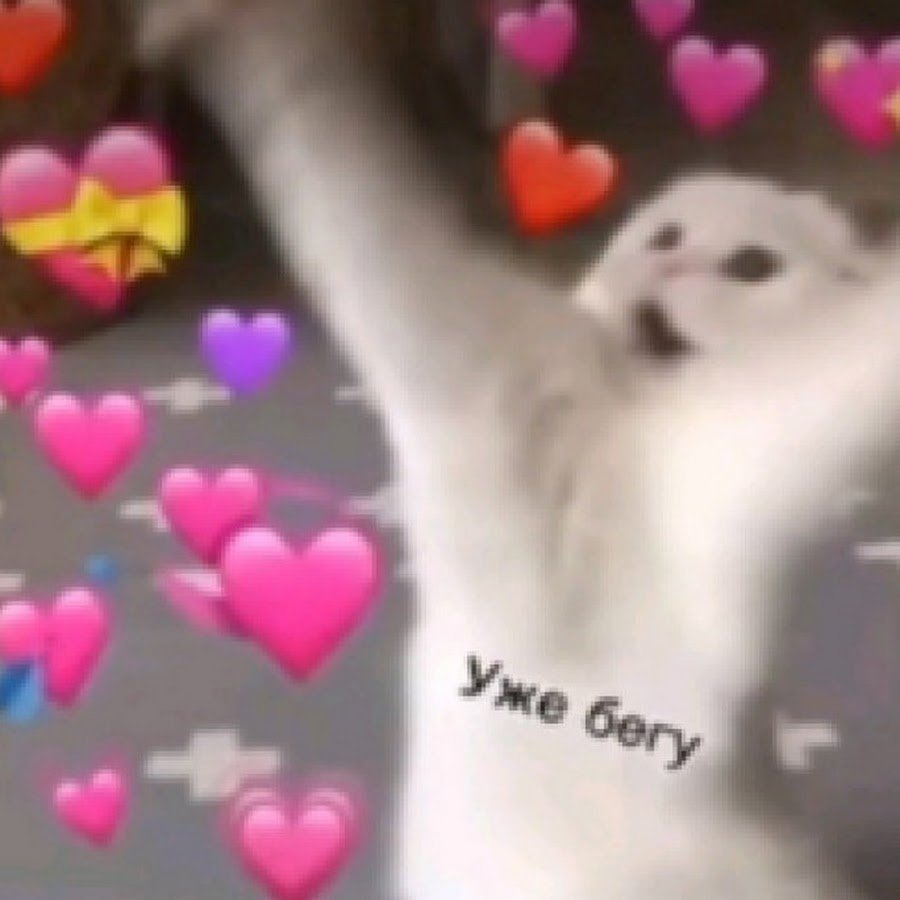 Картинки обнимашки прикольные смешные