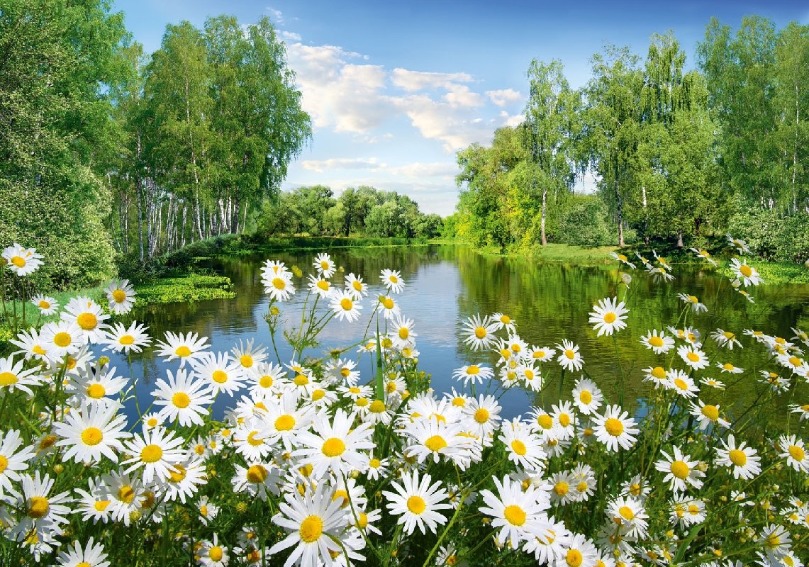 Красивые летние пейзажи