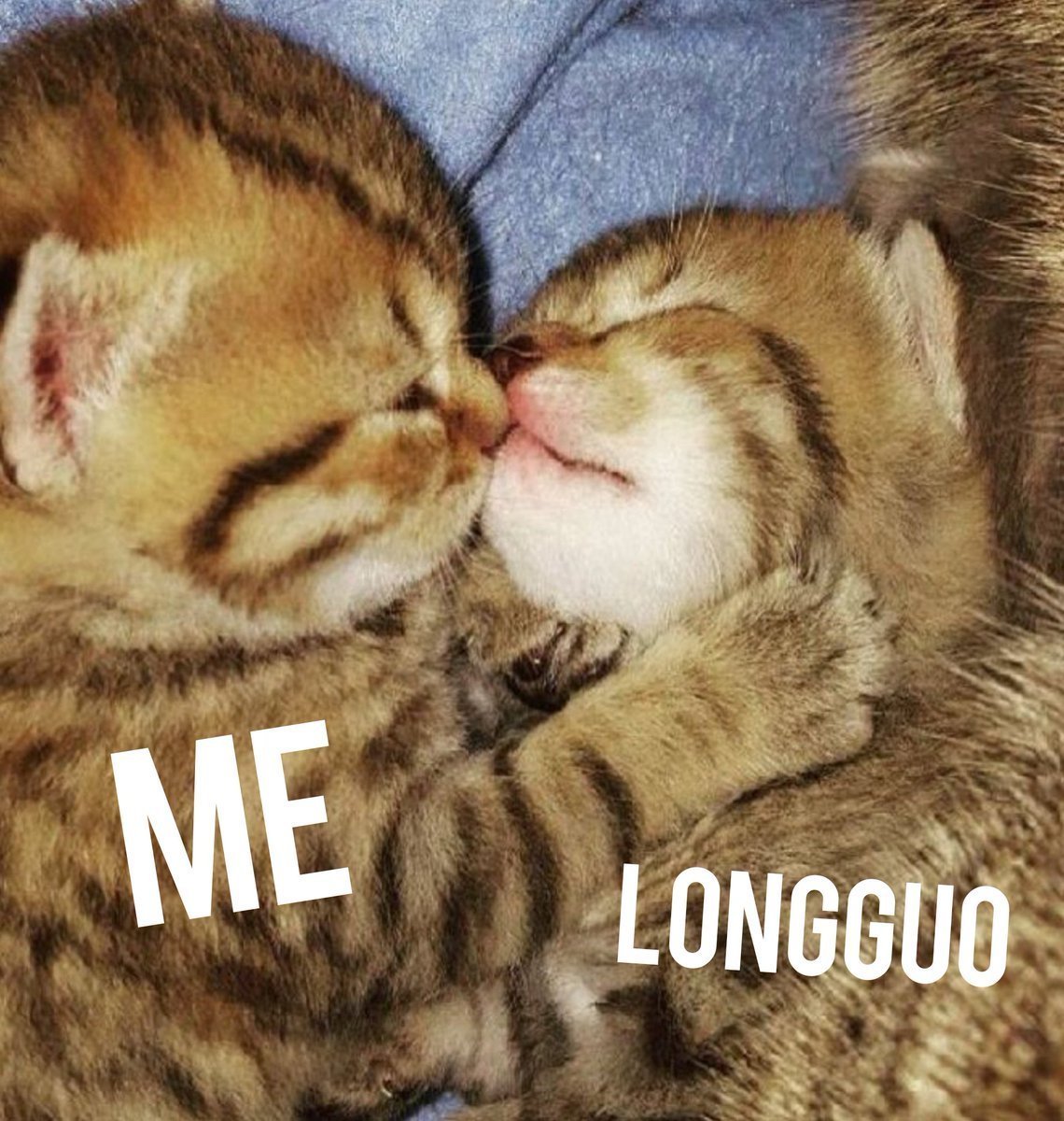 Мишка обнимает