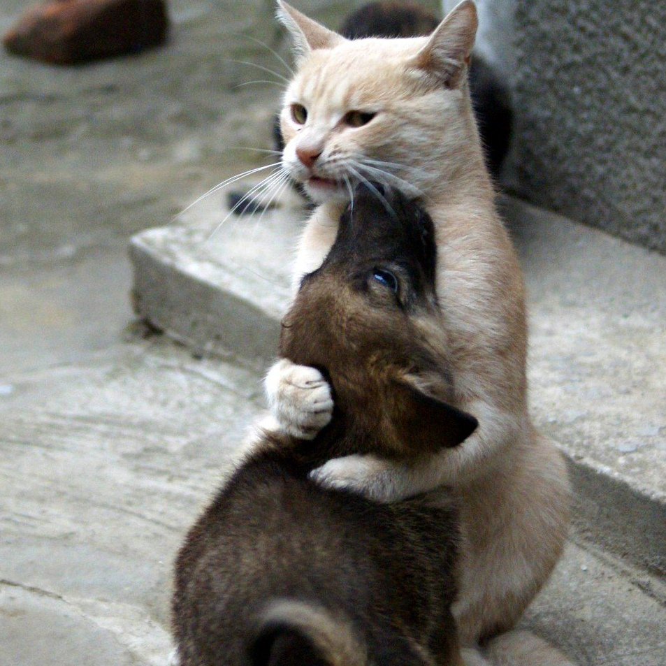 Маленький комикс