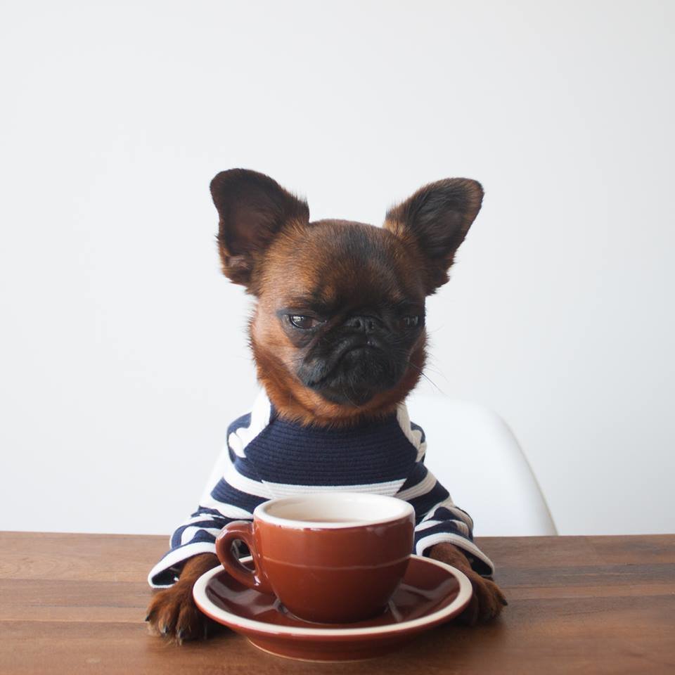 Утренний кофе не делает меня добрее