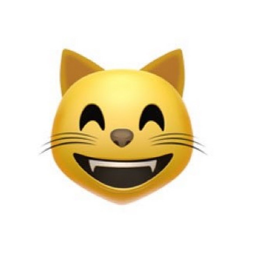 Хитрая морда кота