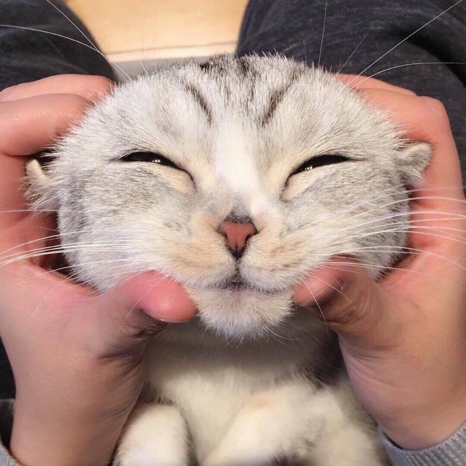 Кто прочитал тот Воскресе