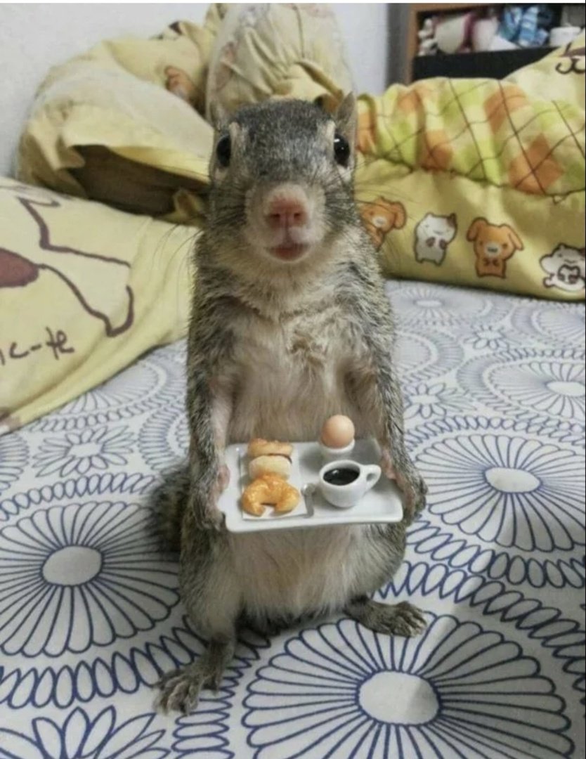 Прикольное утро