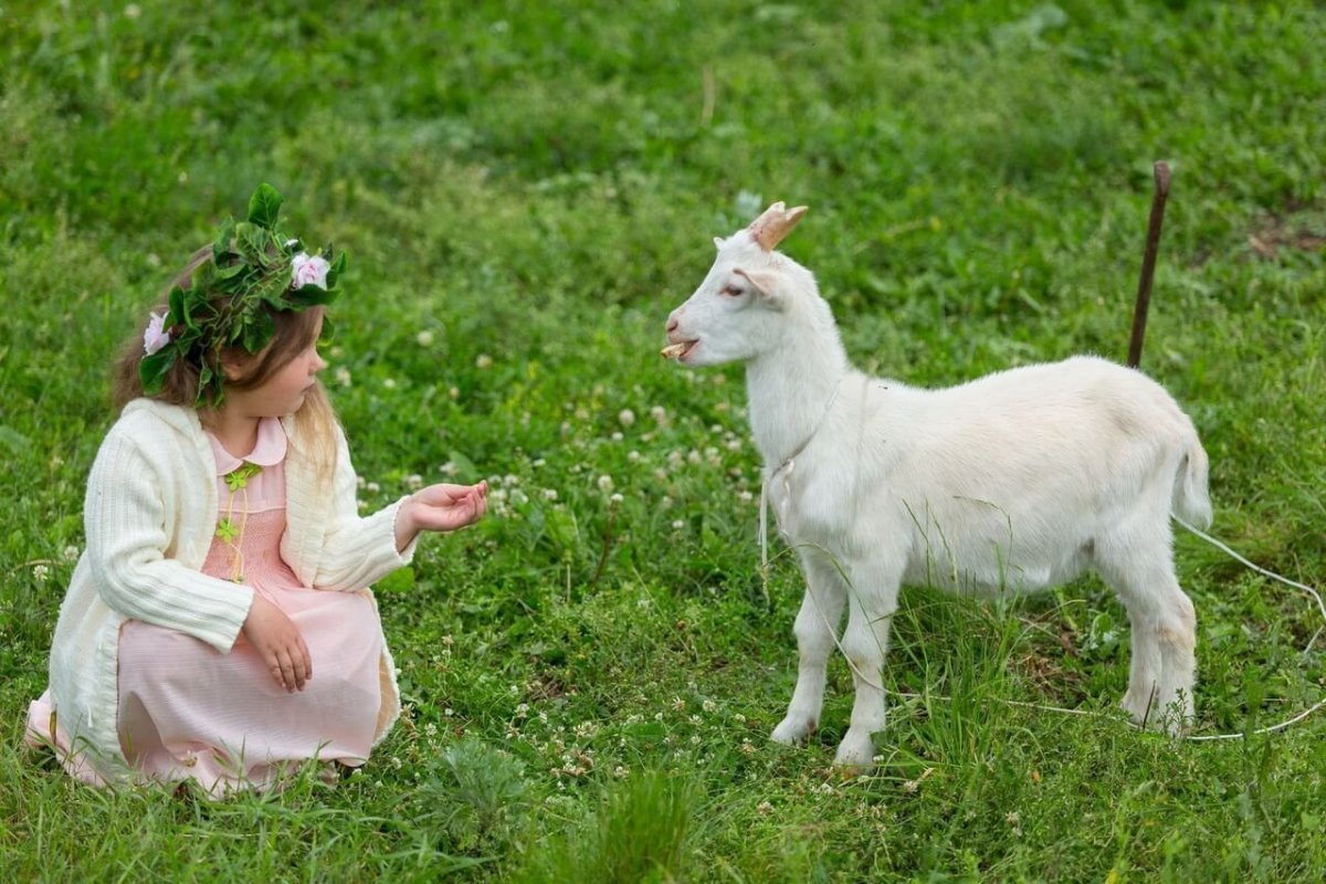 Козлёнок мультяшный