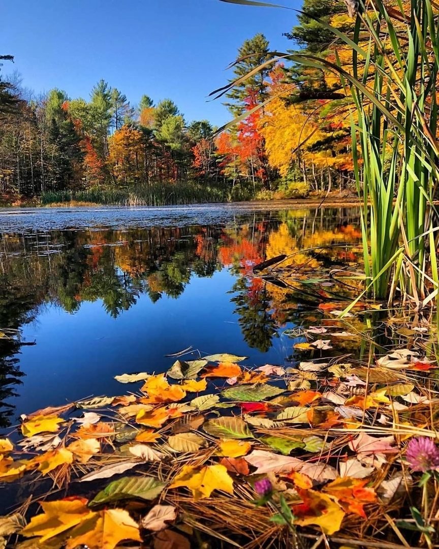 Река осенью