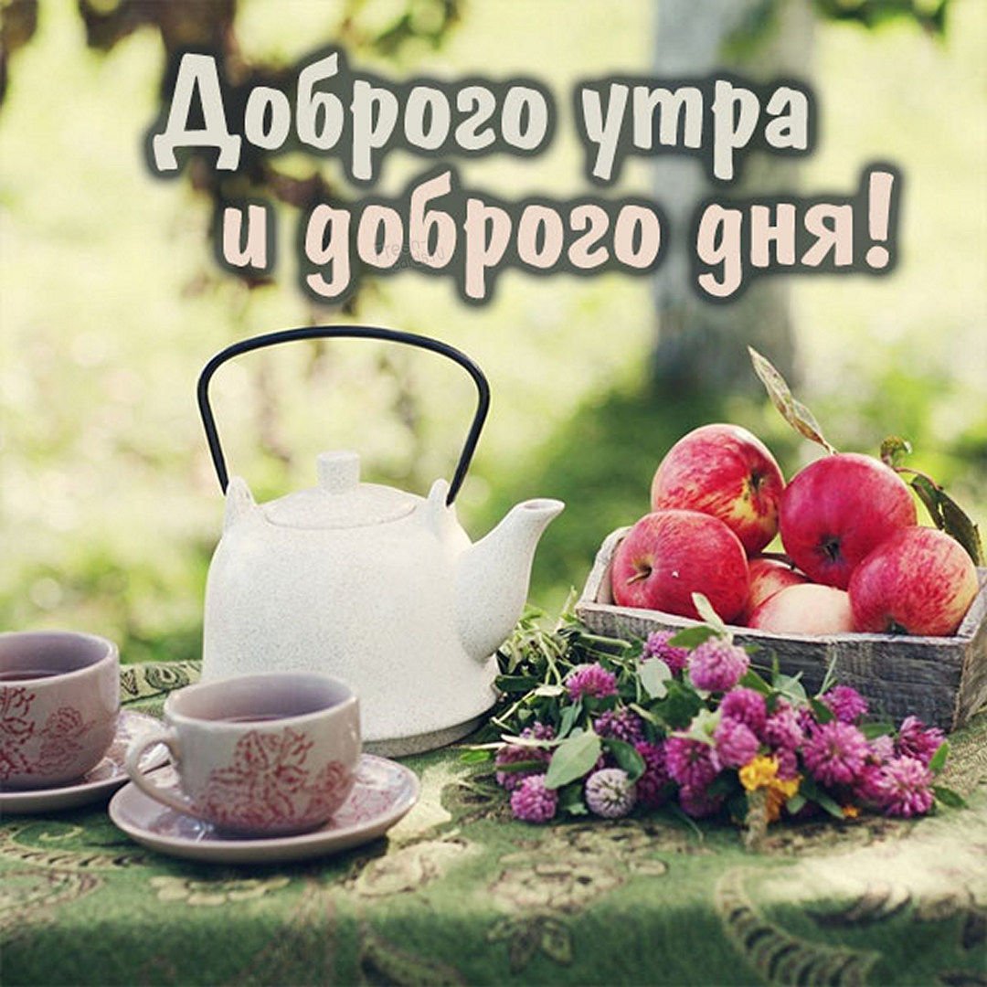 Доброе утро лето