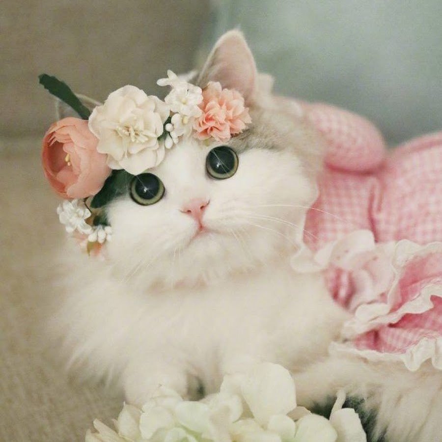 Доброе утро доченька