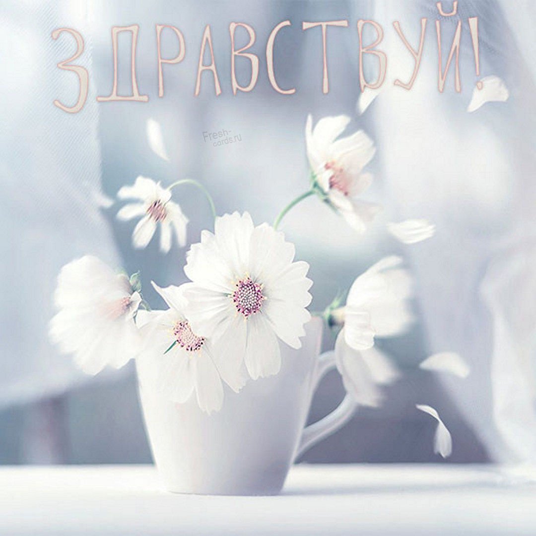 Спасибо за вечер